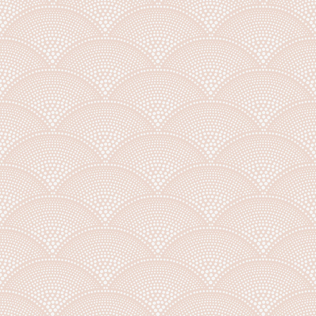 Cole & Son FEATHER FAN PLASTER PINK Wallpaper