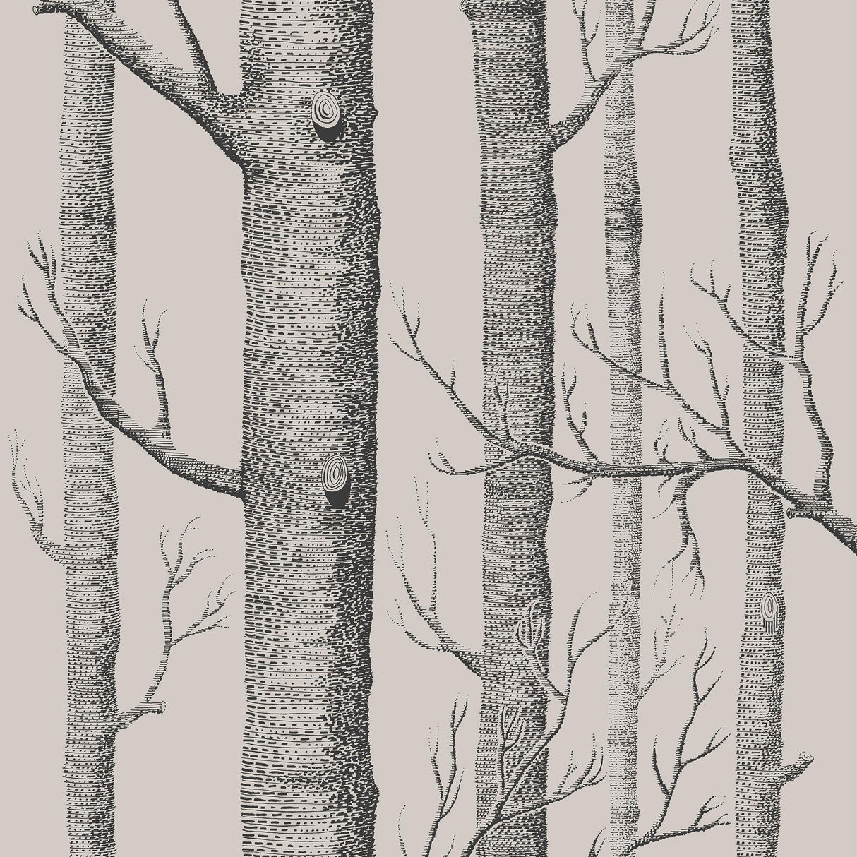 Cole & Son WOODS LINEN/CHARCOAL Wallpaper