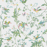 Cole & Son HUMMINGBIRDS GREEN/PINK Wallpaper