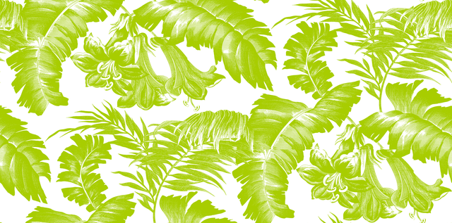 Gaston Y Daniela PLANTATION VERDE Wallpaper