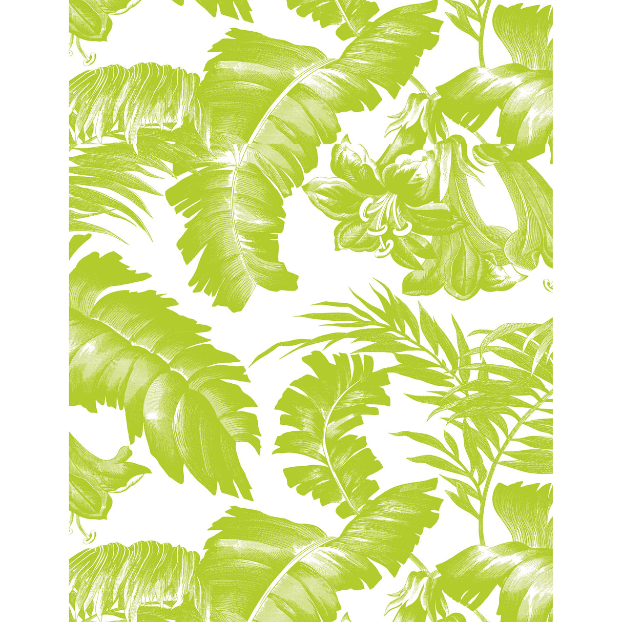 Gaston Y Daniela PLANTATION VERDE Wallpaper
