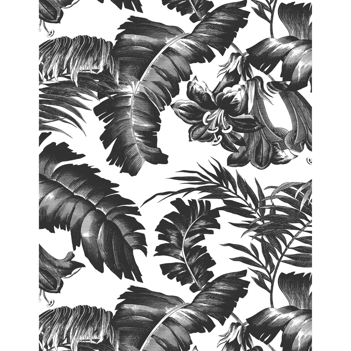 Gaston Y Daniela PLANTATION BLACK&WHITE Wallpaper