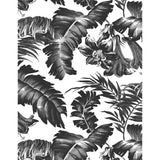Gaston Y Daniela PLANTATION BLACK&WHITE Wallpaper