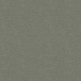Kravet COUTURE 32950 1121 Upholstery Fabric