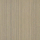 Schumacher Poetto Strie Indoor/Outdoor Rattan Fabric