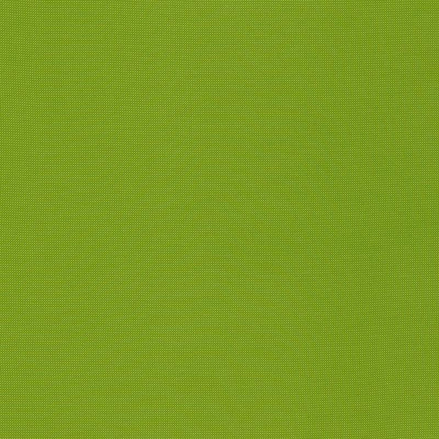 Schumacher Mondello Indoor/Outdoor Lime Fabric