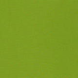 Schumacher Mondello Indoor/Outdoor Lime Fabric
