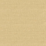 Kravet COUTURE 30356 111 Upholstery Fabric
