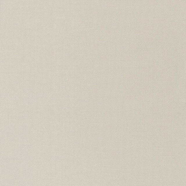 Schumacher Mondello Indoor/Outdoor Platinum Fabric