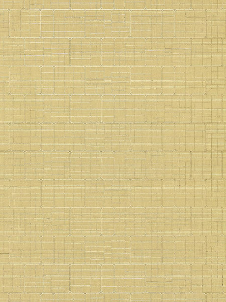 Scalamandre Mechanical Workmanship Champagne Wallpaper