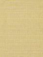 Scalamandre Mechanical Workmanship Champagne Wallpaper