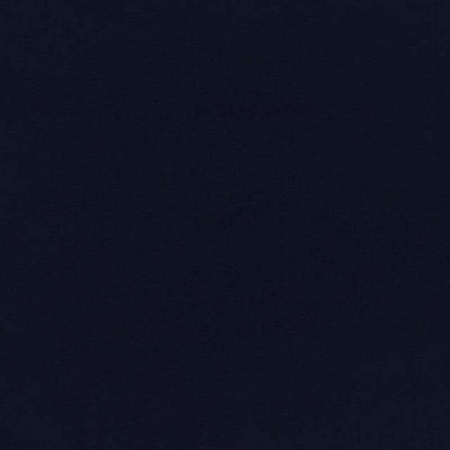 Schumacher Ravello Indoor/Outdoor Navy Fabric