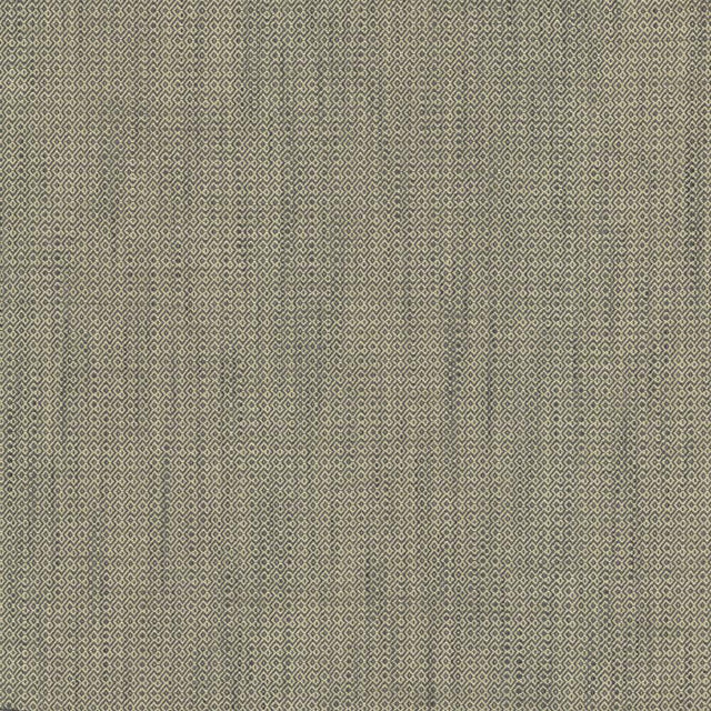 Kasmir Riddler Granite Fabric