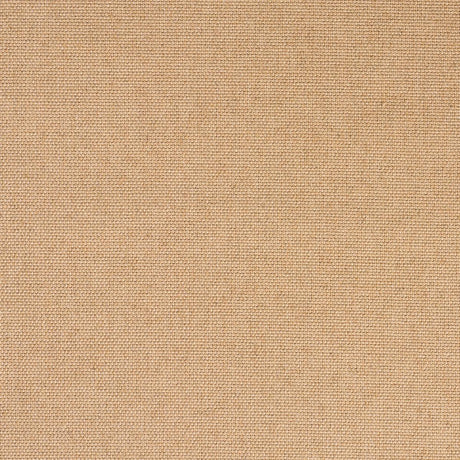 Schumacher Corsica Weave Straw Fabric