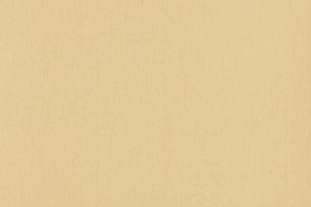 Schumacher Ravello Indoor/Outdoor Sahara Fabric