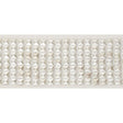 Schumacher Silver Gardner Tape