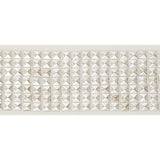 Schumacher Silver Gardner Tape