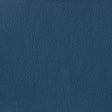 Kravet BASICS OTTO 5 Upholstery Fabric