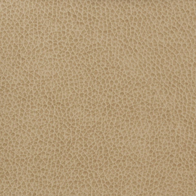 Kravet BASICS MATTER 1616 Upholstery Fabric