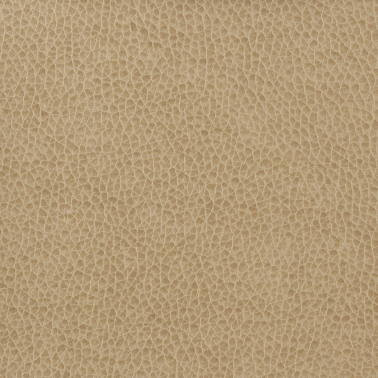 Kravet BASICS MATTER 1616 Upholstery Fabric