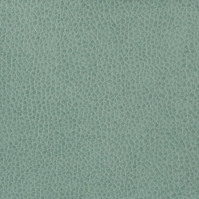 Kravet BASICS MATTER 15 Upholstery Fabric