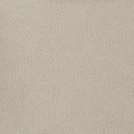 Kravet BASICS MATTER 11 Upholstery Fabric