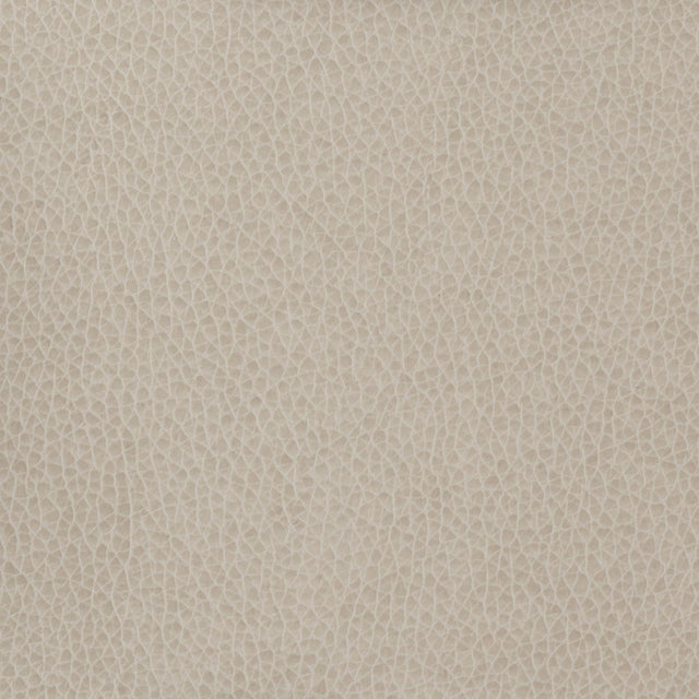 Kravet BASICS MATTER 11 Upholstery Fabric