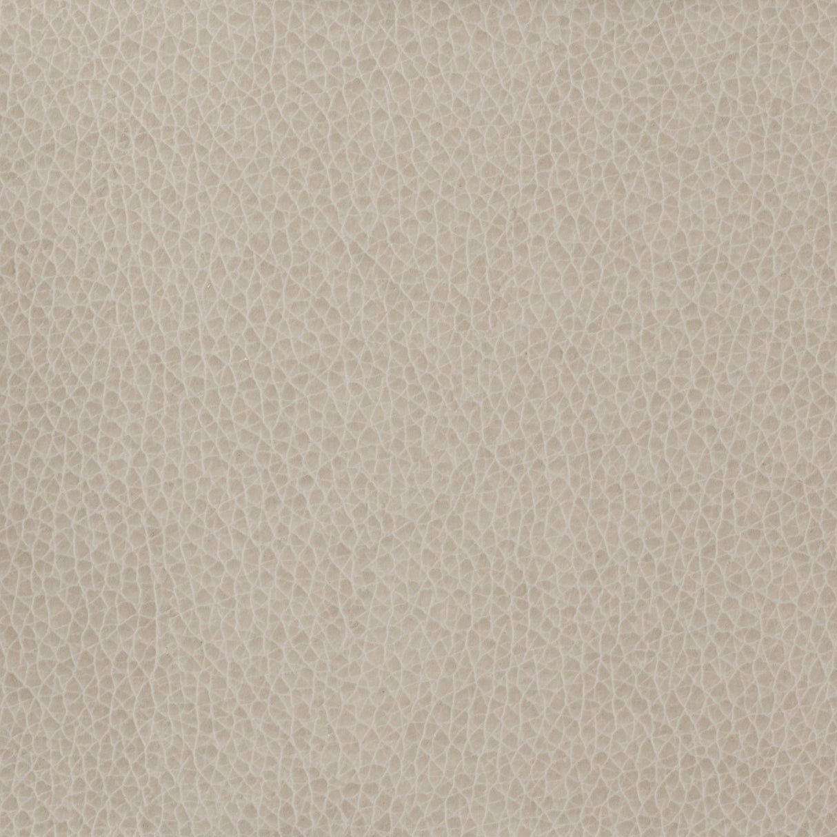 Kravet BASICS MATTER 11 Upholstery Fabric