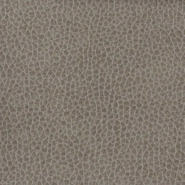 Kravet BASICS MATTER 1121 Upholstery Fabric