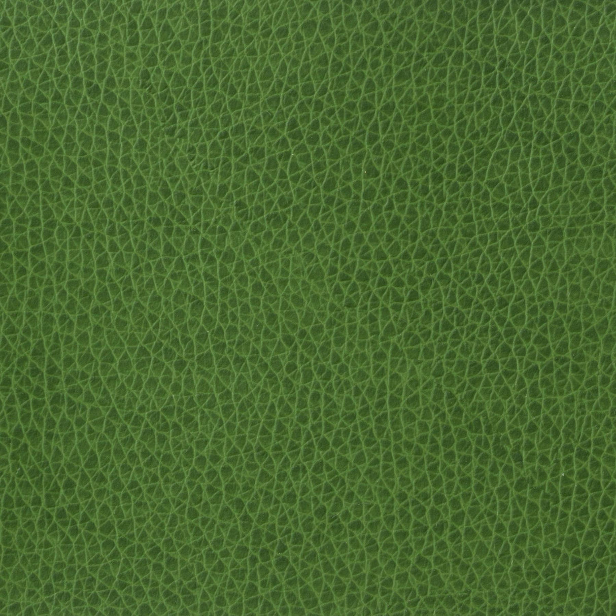 Kravet BASICS MATTER 3 Upholstery Fabric