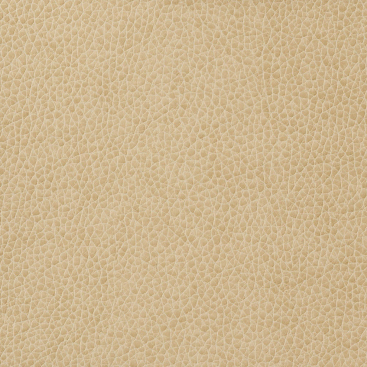 Kravet BASICS MATTER 1116 Upholstery Fabric