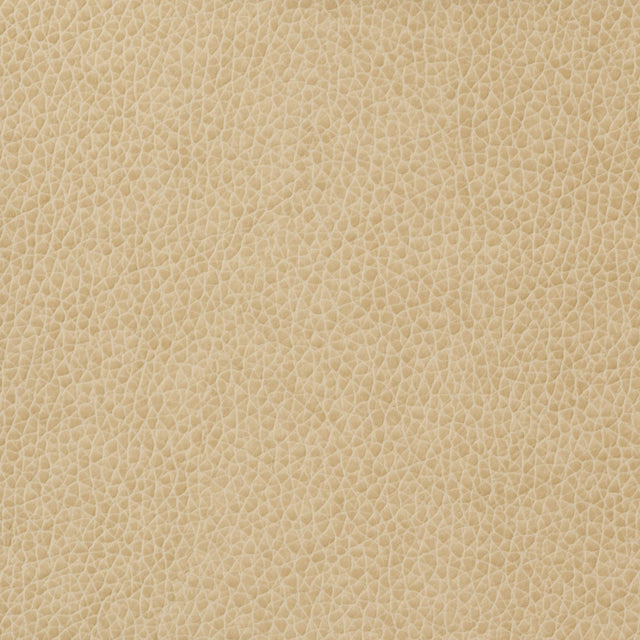 Kravet BASICS MATTER 1116 Upholstery Fabric