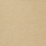 Kravet BASICS MATTER 1116 Upholstery Fabric