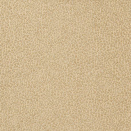 Kravet BASICS MATTER 1116 Upholstery Fabric