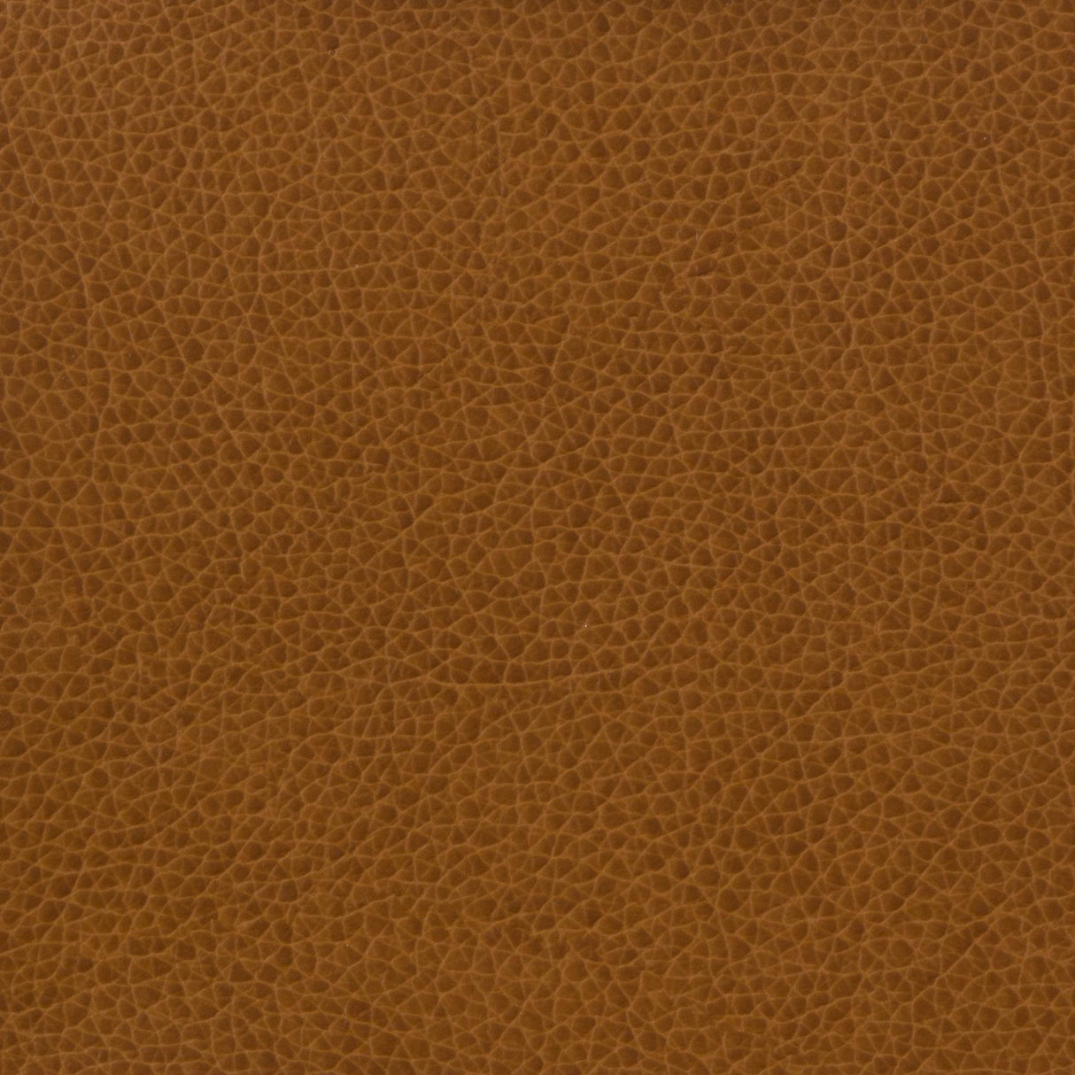 Kravet BASICS MATTER 616 Upholstery Fabric