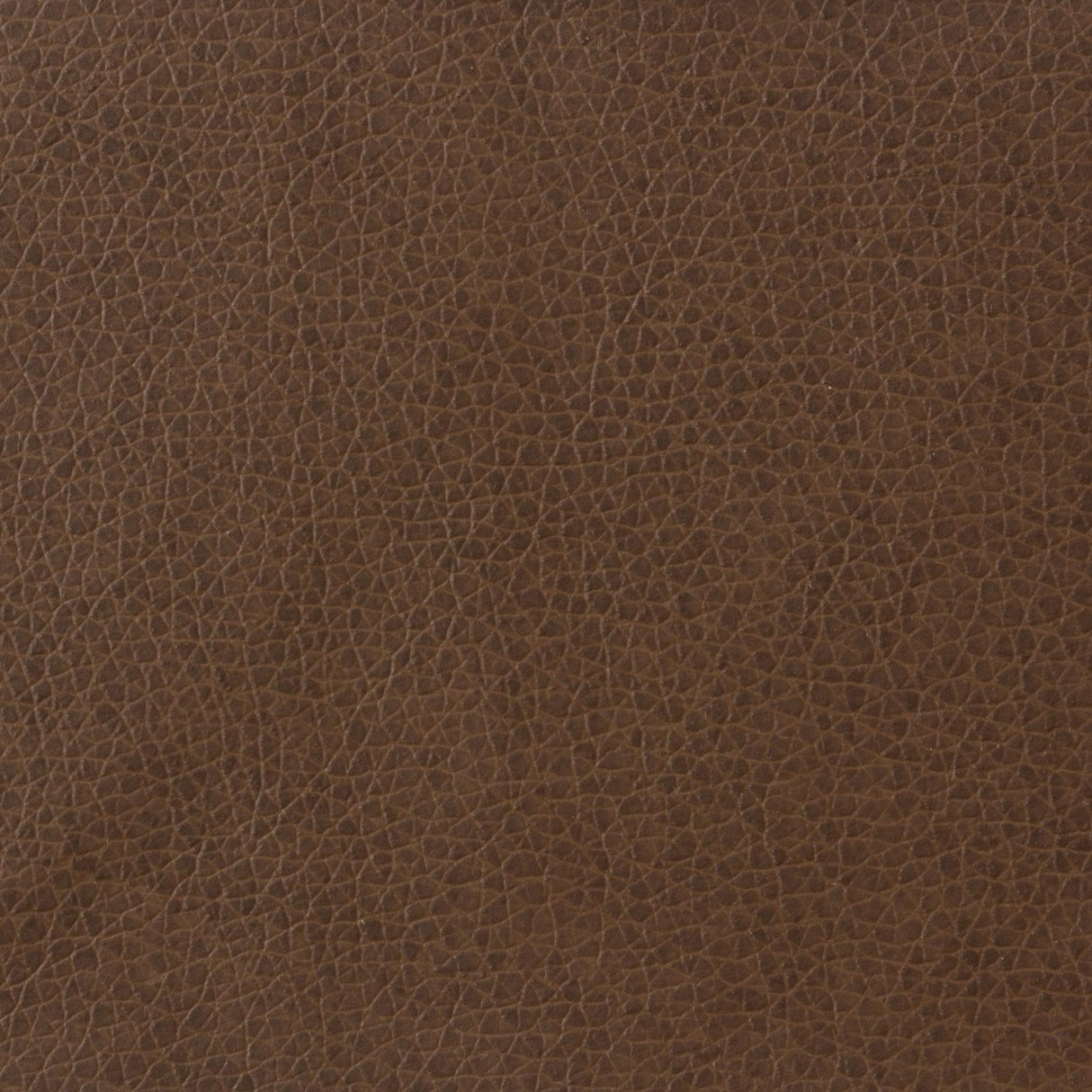 Kravet BASICS MATTER 6 Upholstery Fabric
