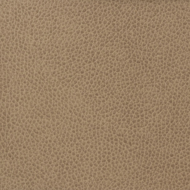 Kravet BASICS MATTER 1611 Upholstery Fabric