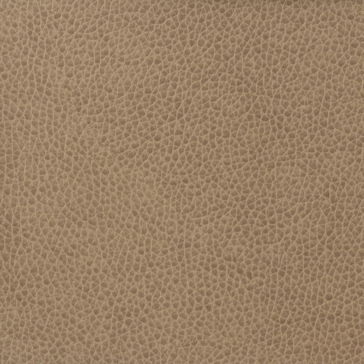 Kravet BASICS MATTER 1611 Upholstery Fabric