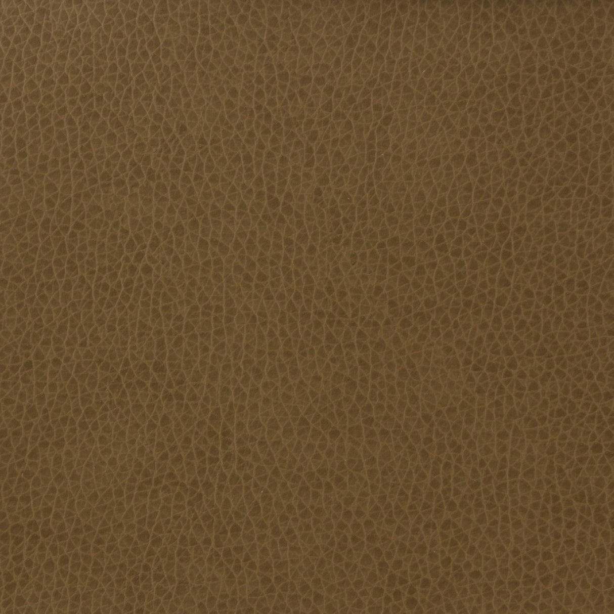 Kravet BASICS MATTER 606 Upholstery Fabric
