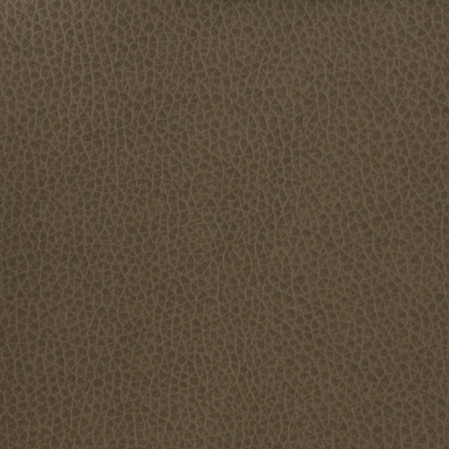 Kravet BASICS MATTER 21 Upholstery Fabric