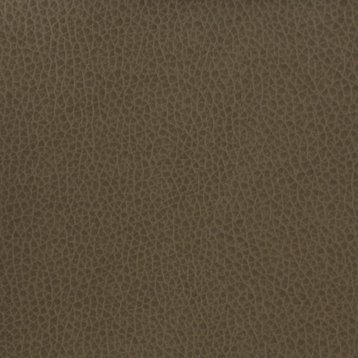 Kravet BASICS MATTER 21 Upholstery Fabric