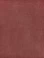 Scalamandre Veneto Rose Wallpaper