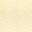 Lee Jofa BREAKWATER OYSTER Upholstery Fabric