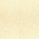 Lee Jofa BREAKWATER OYSTER Upholstery Fabric