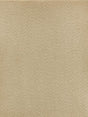 Scalamandre Veneto Wheat Wallpaper