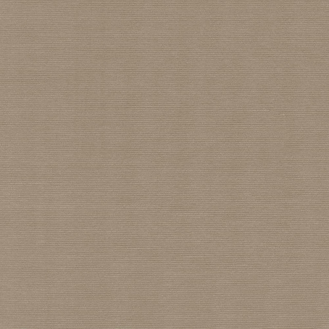 Kasmir Rivage Latte Fabric