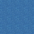 Lee Jofa PAVIMENTO CORNFLOWER Fabric