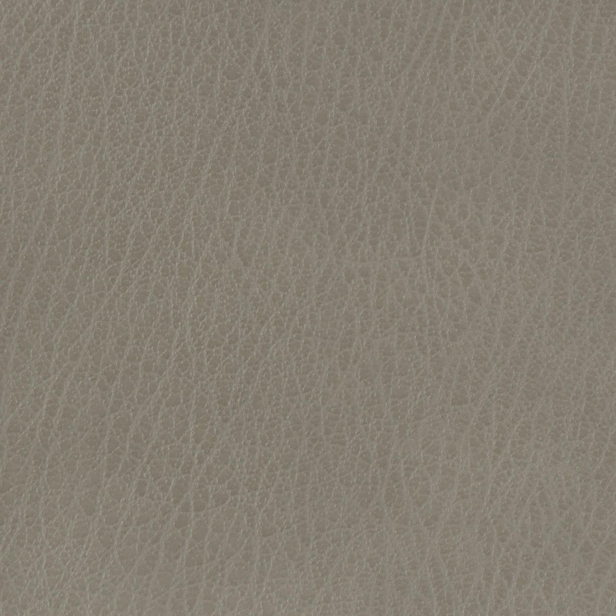 Kravet BASICS CELINE 11 Upholstery Fabric