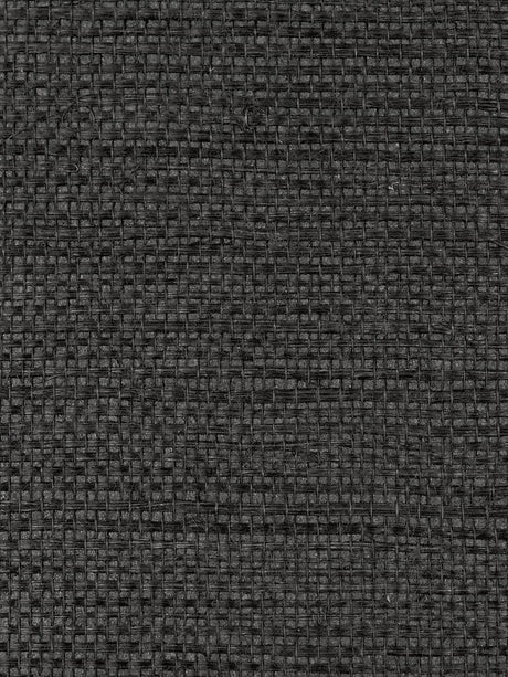 Scalamandre Simply Sisal Noir Wallpaper