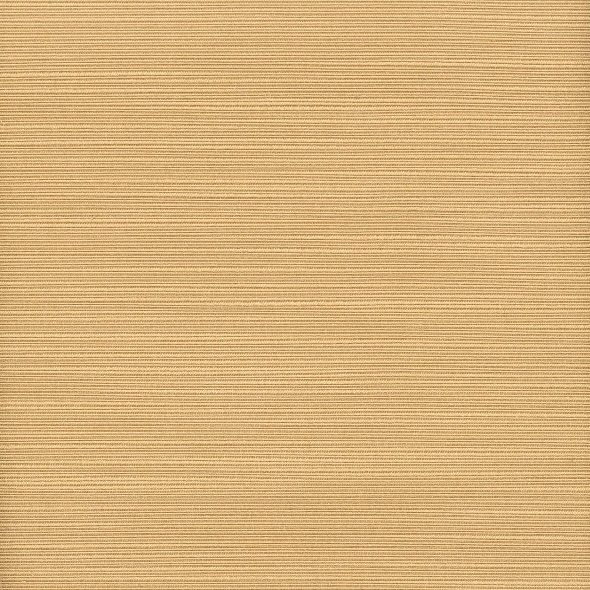 Stout ADMIRE LION Fabric